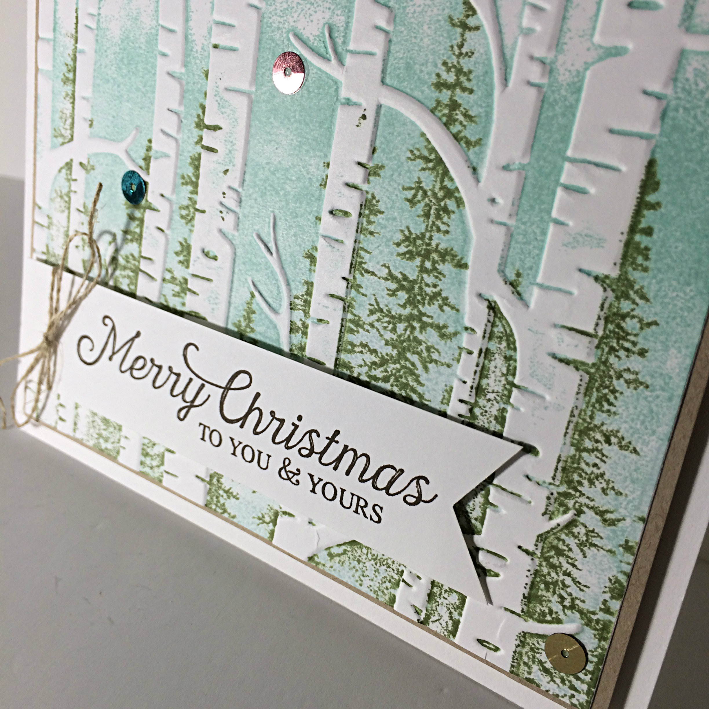 Winter Woodland, Embossing Folder